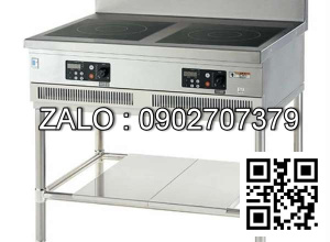 Bếp điện có chân đế FUJIMARK FICA12123TF