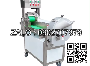 Máy cắt rau củ quả 2 đầu XJT-DN608