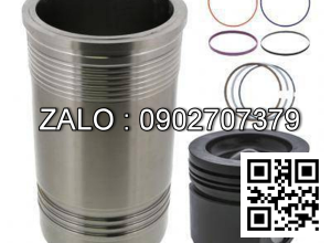 Bộ hơi động cơ VM MOTORI RA 294 , 2 CYL , CM3