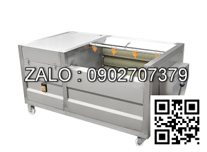 Máy đánh vảy cá công nghiệp