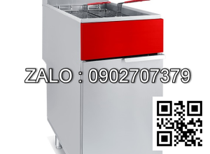 Bếp chiên nhúng dùng gar New Way NWFS-4