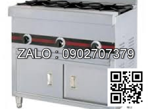 Bếp âu 6 họng dùng gas có tủ WTA-610A