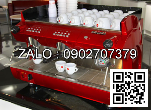 Máy Pha Cà Phê Gaggia GD 2 Group