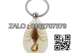 Móc Khóa Côn Trùng