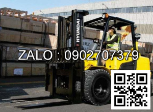 Xe nâng dầu diesel Forklift FD40-FD50