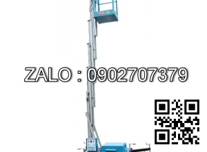 Thang nâng điện Model GTWY8-1008