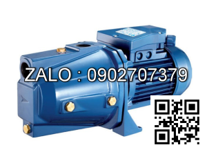 Bơm đầu Jet Pentax Cam 100