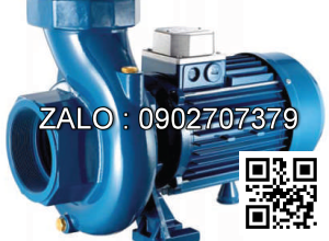 Máy bơm nước Pentax CST 450/4