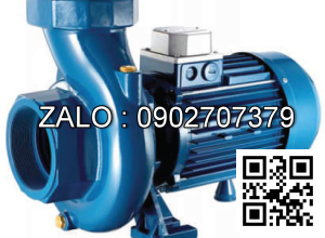 Máy bơm nước Pentax CST 550/4