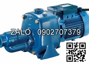 Máy bơm nước Pentax CAB 200