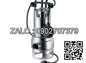 Máy bơm nước Pentax DX 100/2G