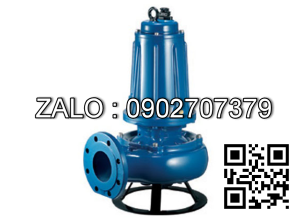 Máy bơm nước Pentax DMT 550