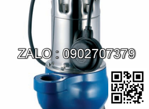 Máy bơm nước Pentax DG 100/2G