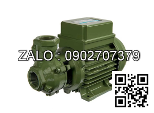 Máy bơm nước dân dụng SAER KF6