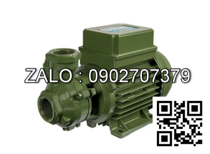 Máy bơm nước dân dụng SAER KF3