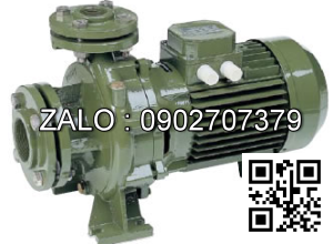 Máy bơm nước Saer IR32-160C