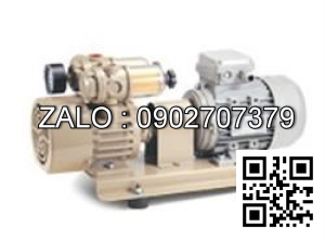 Bơm hút chân không Vacotronic RV-25