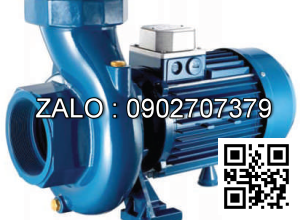 Máy bơm nước PENTAX CST400/3