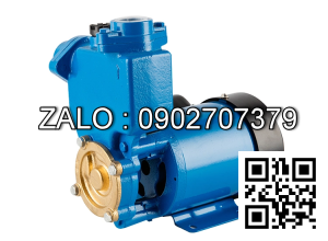 Máy bơm nước tự mồi PS126