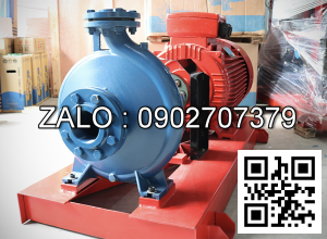 BƠM PCCC ĐIỆN MARELLIMOTORI 22KW KIRLOSKAR DB 50/26