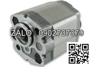 Bơm thuỷ lực Royal Master D-2SW-4