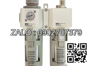 Bộ lọc khí nén - Lọc Đôi P3NCA28SEANGLNB Parker