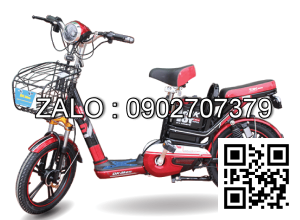 Xe đạp điện Parkson vành đúc DL-01