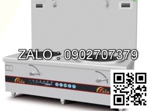 Bếp nấu canh điện từ thấp 2 đầu CZC - 13DE