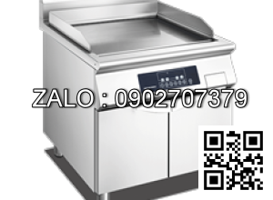 Bếp điện từ EFC-4B-05