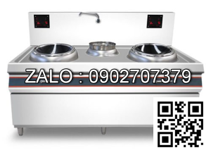 Bếp từ đôi công nghiệp mặt lõm