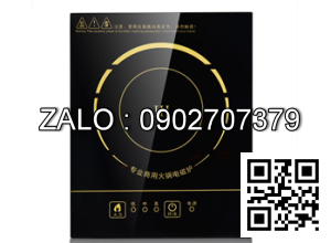 Bếp từ GW-80T175