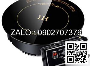 Bếp từ hệ thống âm bàn GW-16B245