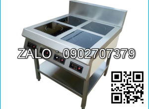 Bếp điện từ 4 họng ShinStar SSI-435