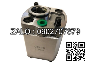 Bơm bánh răng CBHQ-G27.2-AL Lưu lượng: 27.2 ml/r Áp suất 20 ~ 25MPa