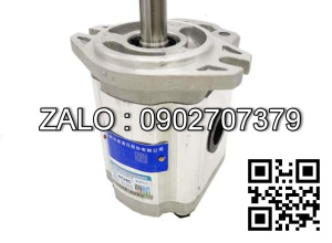 Bơm bánh răng CBTN-G0.8 Lưu lượng: 0.8 ml/v Áp suất 21-31.5 MPa