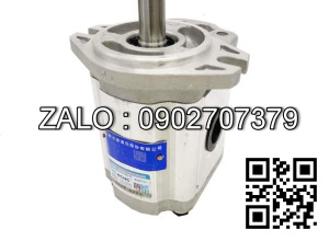 Bơm bánh răng CBT-E430/30-W Lưu lượng: 30/30 ml/r Áp suất 20/20 Mpa