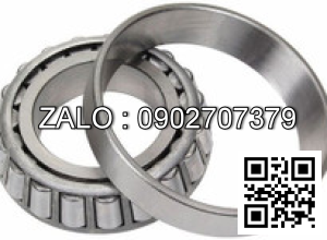 Vòng bi HYSTER 2021288