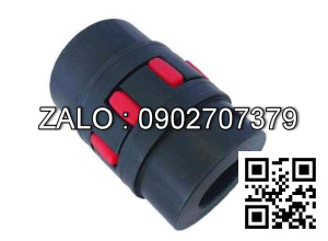 Khớp nối DFS-19 DFS19