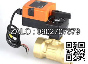 Van bi thau lắp ren 2 ngã DN200