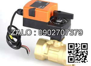 Van bi thau lắp ren 2 ngã DN250