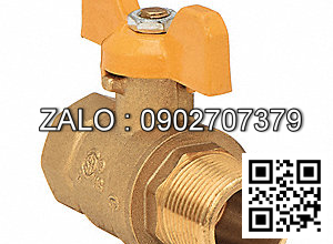 Van khóa nước thau phi 114