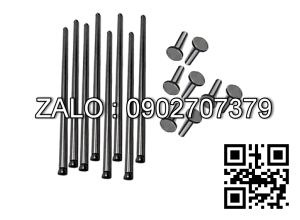 Đủa dàn cò 31434307 帕?斯1104C-44/352-05系列