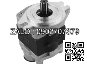 Bơm thủy lực HYSTER 2080691,1608836