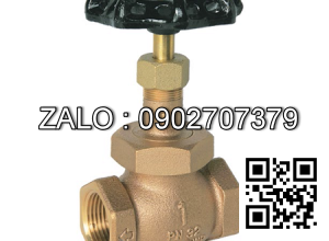 Van cầu ren đồng Kizt DN20