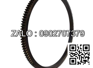 Vòng răng ngoài PN 4738-0900-005