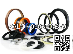 Thay sin phốt bộ chia