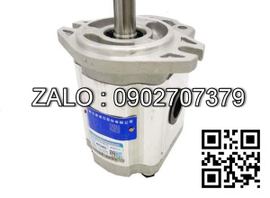 Bơm bánh răng CBT-E318 Lưu lượng: 10 ml/v Áp suất 16-20 MPa