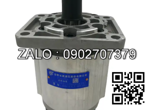 Bơm thủy lực bánh răng CBN-F306-FBR