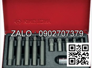 Bộ vít đóng 11 chi tiết