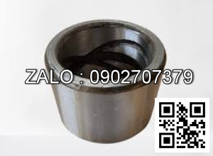 Phụ tùng XCMG 250100510